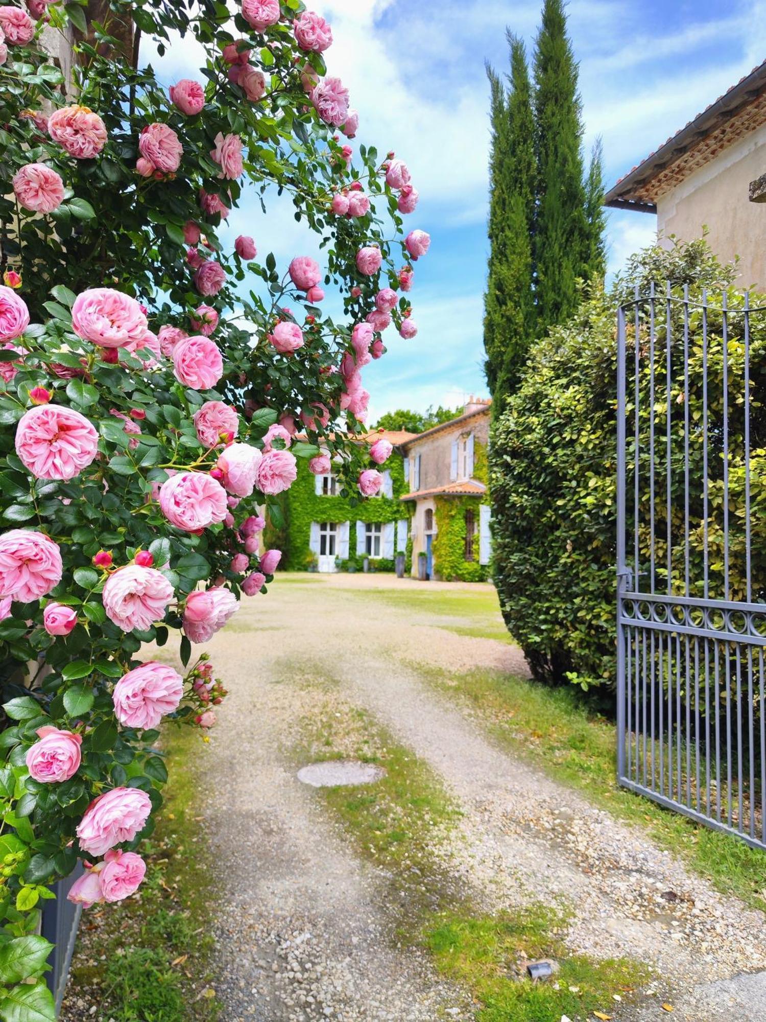 Hotel Chateau De Didonne Semussac Exterior photo